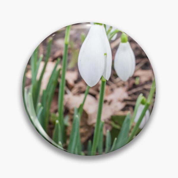 Item preview, Rural Snowdrops designed and sold by yackers1.