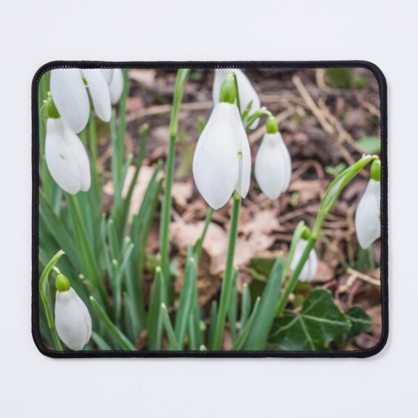 Item preview, Rural Snowdrops designed and sold by yackers1.