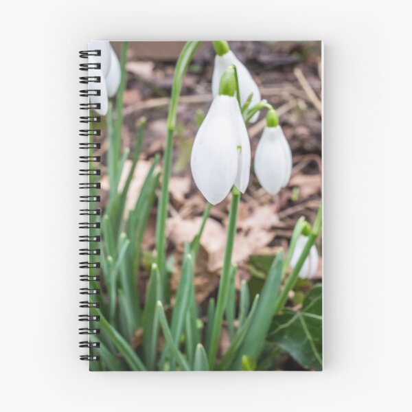 Item preview, Rural Snowdrops designed and sold by yackers1.