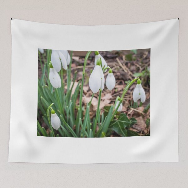 Item preview, Rural Snowdrops designed and sold by yackers1.