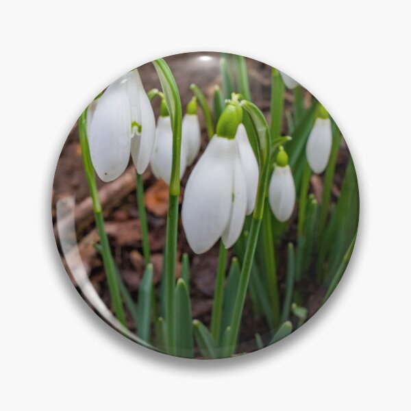 Item preview, Winter snowdrops designed and sold by yackers1.