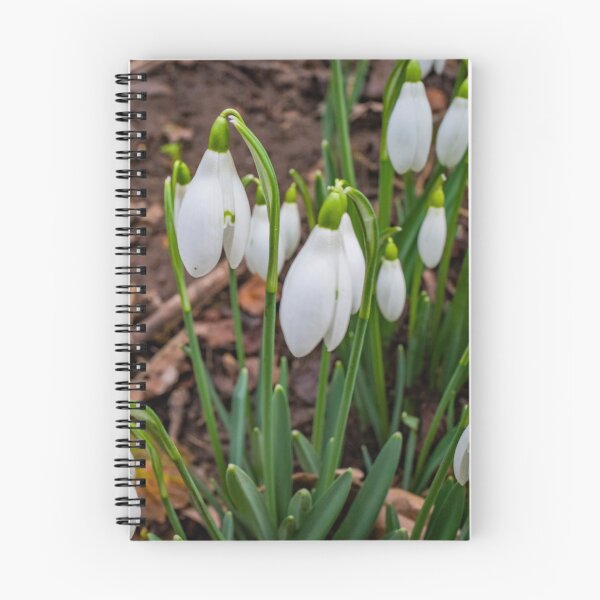 Item preview, Winter snowdrops designed and sold by yackers1.
