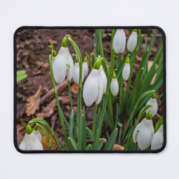 Item preview, Winter snowdrops designed and sold by yackers1.