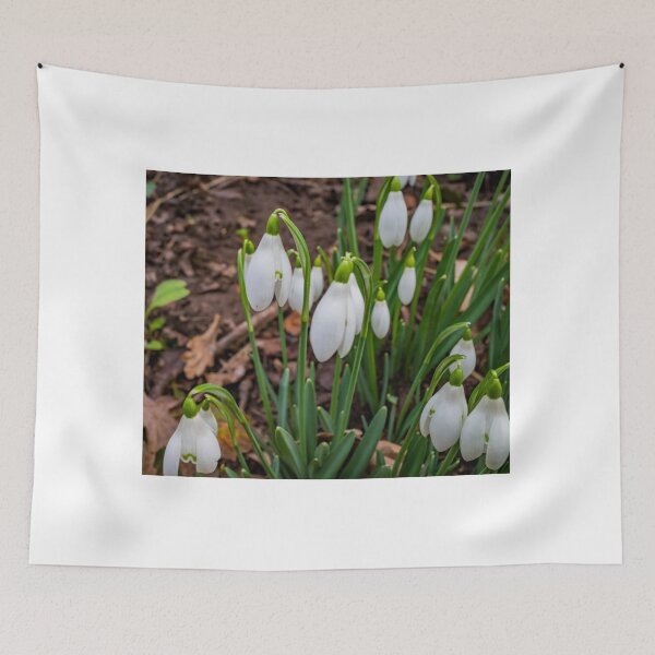 Item preview, Winter snowdrops designed and sold by yackers1.