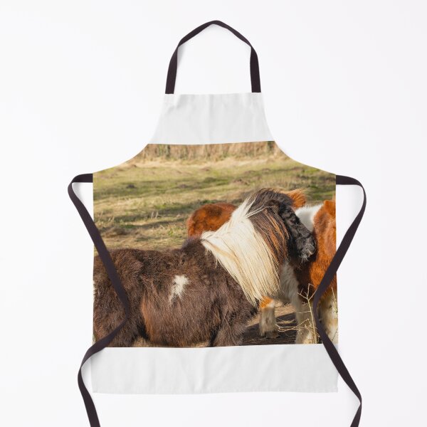 Aperçu de l'œuvre Shetland ponies créée et vendue par yackers1.