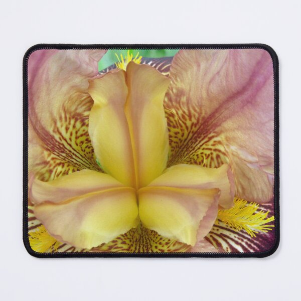 Item preview, Yellow and pink lily designed and sold by Shulie1.