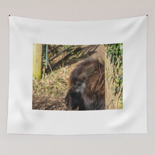 Item preview, Shetland pony portrait designed and sold by yackers1.