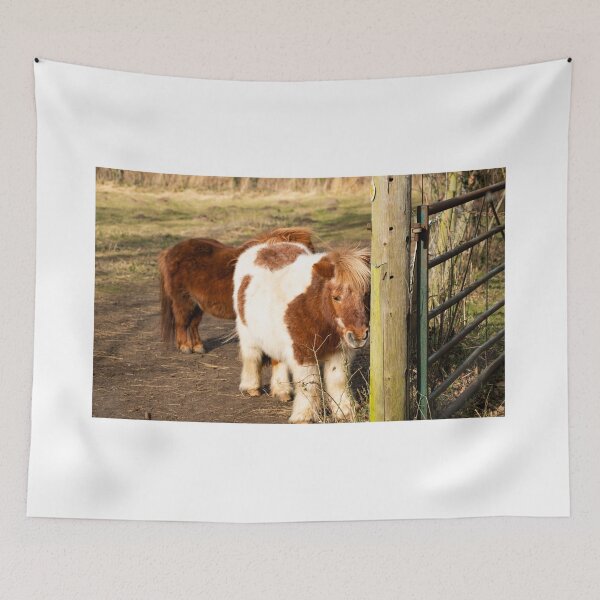 Item preview, Pair of Shetland ponies designed and sold by yackers1.