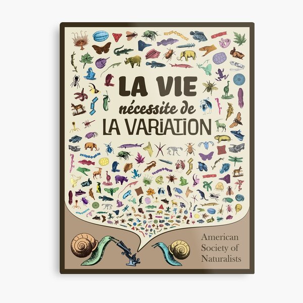 Life Needs Variation (French; Light) Metal Print