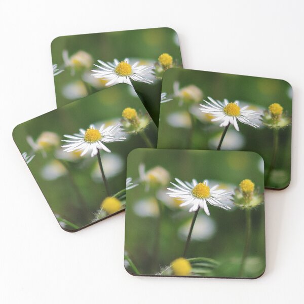 Item preview, Vibrant White and Yellow Common Daisy  designed and sold by DesignMore21.