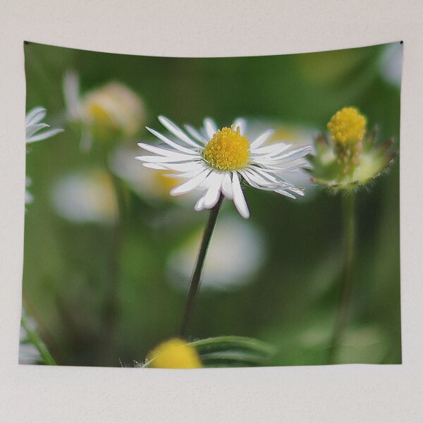 Item preview, Vibrant White and Yellow Common Daisy  designed and sold by DesignMore21.