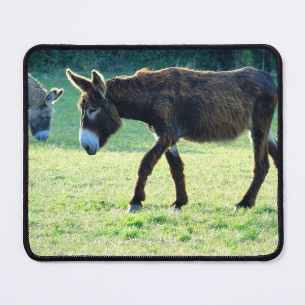 Item preview, The two donkeys designed and sold by ART22.