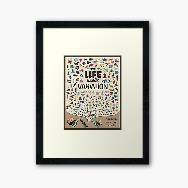 Item preview, Life Needs Variation (English; Light) designed and sold by American Society of Naturalists.