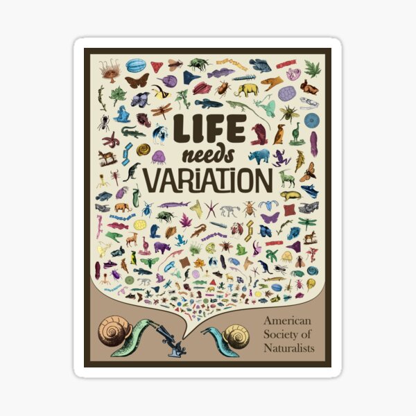 Life Needs Variation (English; Light) Sticker
