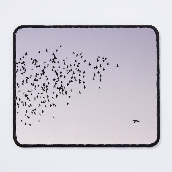 Item preview, Starlings and sparrowhawk designed and sold by GreyFeatherPhot.