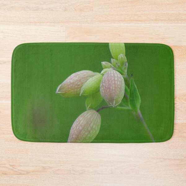 Item preview, Pink and Green Bladder Campion in The Field designed and sold by DesignMore21.