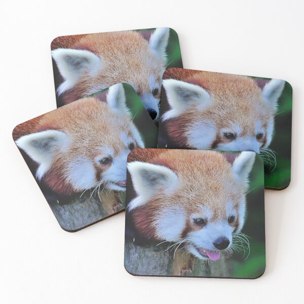 Item preview, Red Panda designed and sold by DesignMore21.