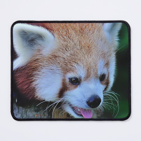 Item preview, Red Panda designed and sold by DesignMore21.