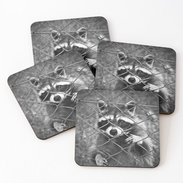 Item preview, Little raccoon buddy coon designed and sold by TheBigShop1.