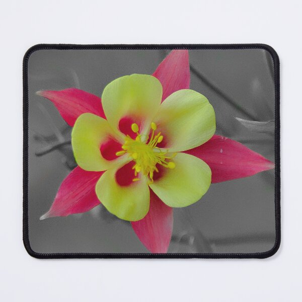 Item preview, Vibrant Colorado Red and Yellow Columbine designed and sold by DesignMore21.
