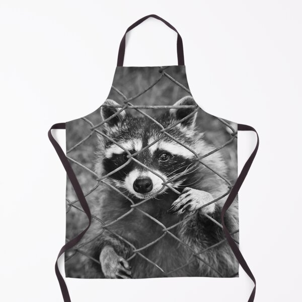 Item preview, Little raccoon buddy coon designed and sold by TheBigShop1.