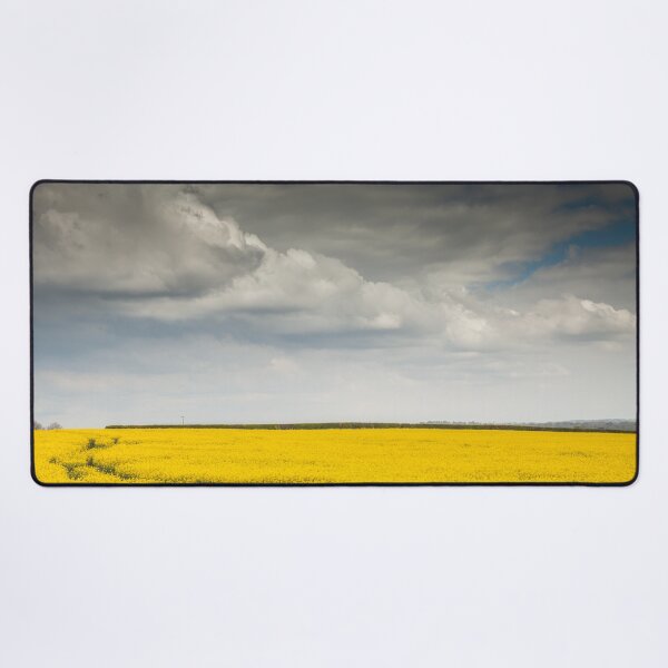Item preview, Oilseed Rape Field designed and sold by heidipics.