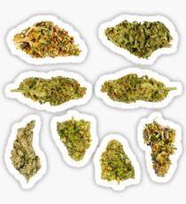 Pegatina Nugs.