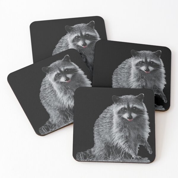 Item preview, Little raccoon buddy  designed and sold by TheBigShop1.