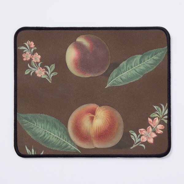 Item preview, Vintage Botanical Prints - 75 in a series - Pomona Britannica: No. 33 - Peaches, 1812–17. George Brookshaw Botanical Print designed and sold by Douglas E. Welch Design and Photography.