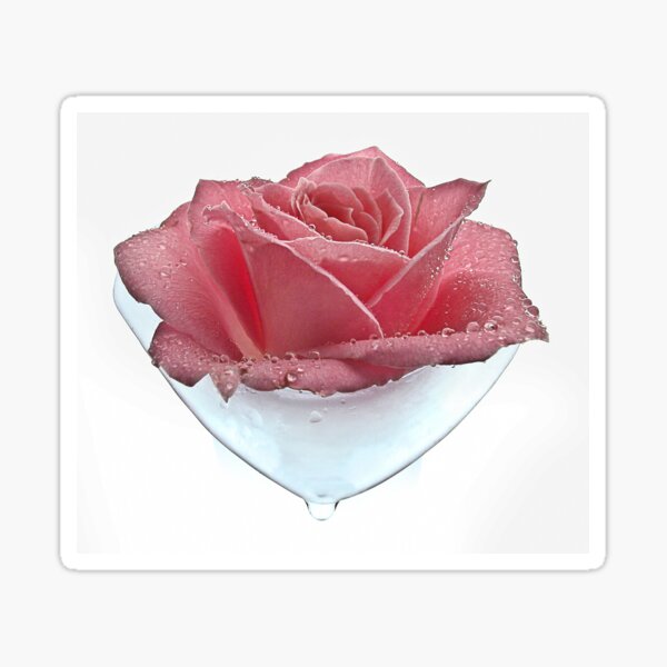 Rose Tear Sticker