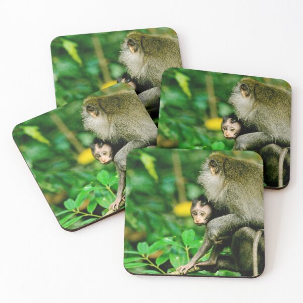 Item preview, Long-tailed Macaque  designed and sold by Tristan Barrington Photography.