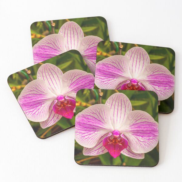 Item preview, Beautiful purple and white orchid flower designed and sold by Kevin Hellon.