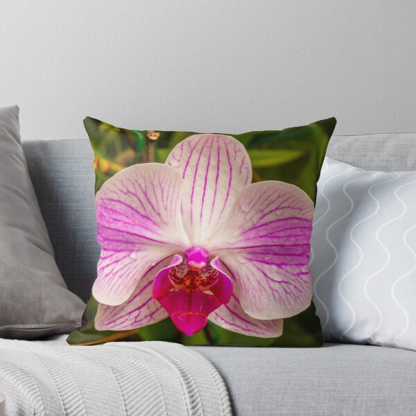 Item preview, Beautiful purple and white orchid flower designed and sold by Kevin Hellon.