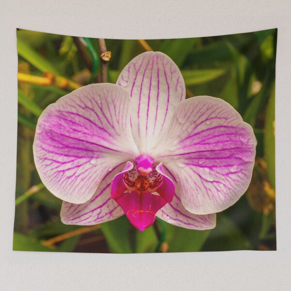 Item preview, Beautiful purple and white orchid flower designed and sold by Kevin Hellon.