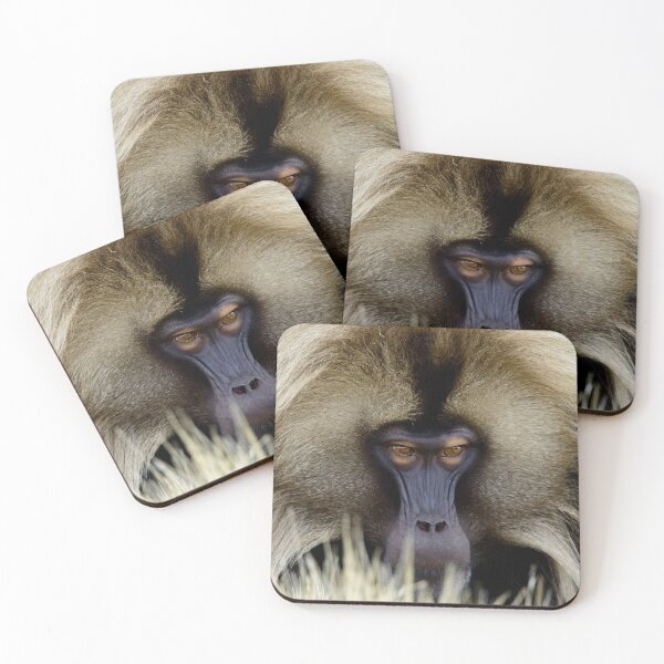 Item preview, Gelada Monkey Eyes designed and sold by Tristan Barrington Photography.