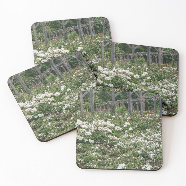 Item preview, White Roses designed and sold by SarahEL17.