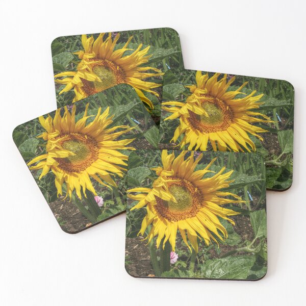 Item preview, A Single Sunflower designed and sold by SarahEL17.