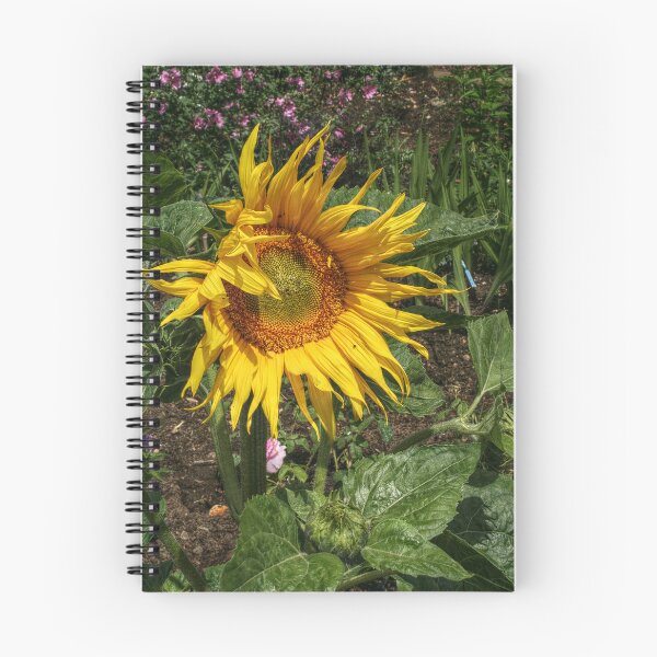 Item preview, A Single Sunflower designed and sold by SarahEL17.
