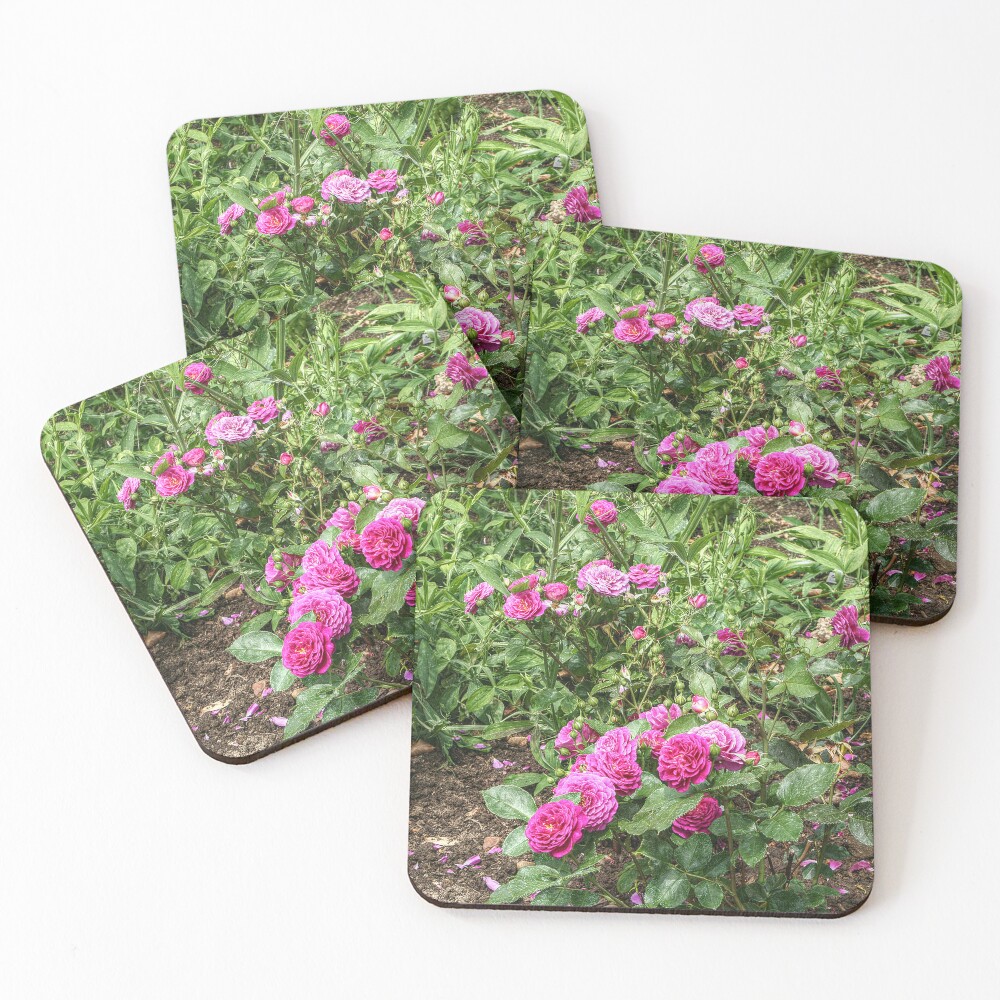 Item preview, Coasters (Set of 4) designed and sold by SarahEL17.