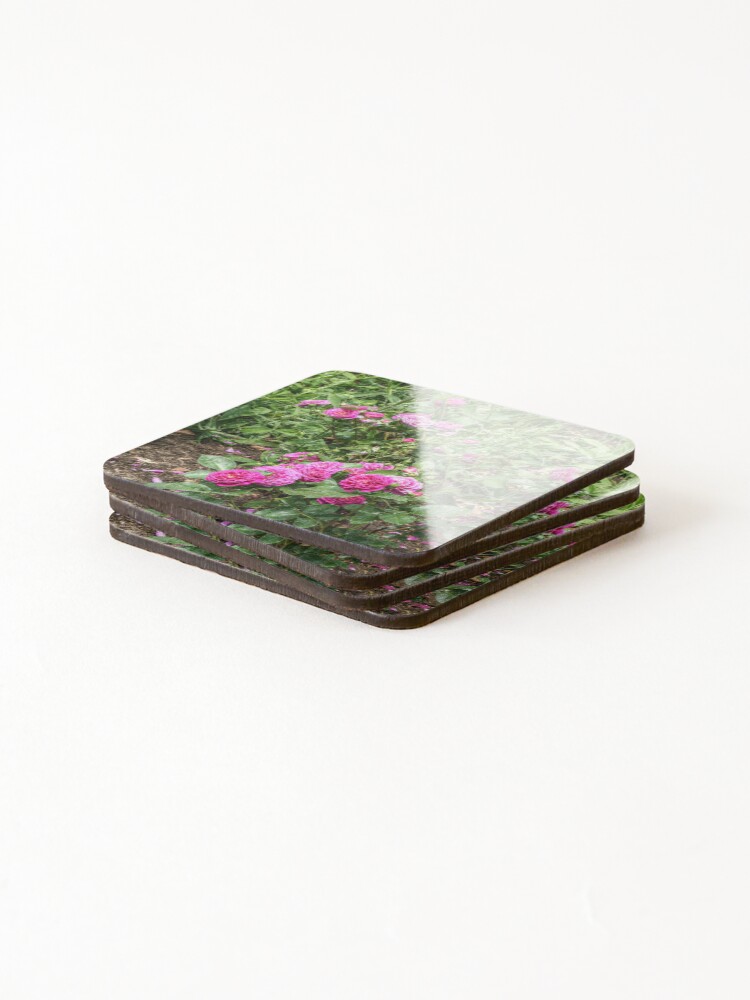 Thumbnail 4 of 5, Coasters (Set of 4), Pink Roses designed and sold by SarahEL17.