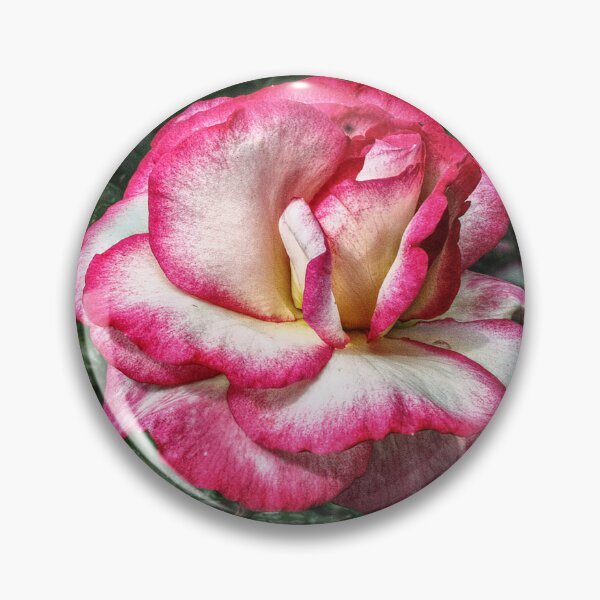 Item preview, I Have Seen Roses Damasked Red and White designed and sold by SarahEL17.