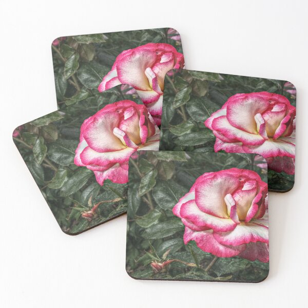 Item preview, I Have Seen Roses Damasked Red and White designed and sold by SarahEL17.