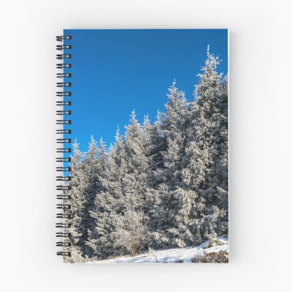Item preview, Winter forest with frozen trees majestic view. Winter in nature. Picturesque and gorgeous wintry scene. Alsace, France designed and sold by Alexander Sorokopud.