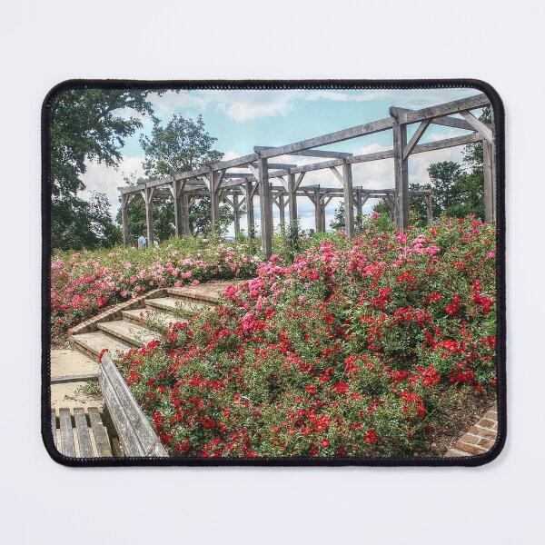 Item preview, Red Roses designed and sold by SarahEL17.