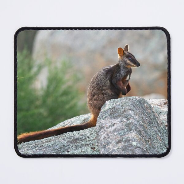 Item preview, Brush Tailed Rock Wallaby designed and sold by Stephen Ruane.