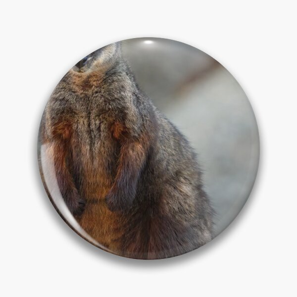 Item preview, Rock Wallaby designed and sold by Stephen Ruane.