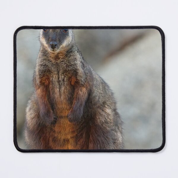 Item preview, Rock Wallaby designed and sold by Stephen Ruane.