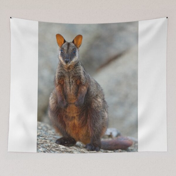 Item preview, Rock Wallaby designed and sold by Stephen Ruane.