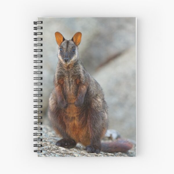 Item preview, Rock Wallaby designed and sold by Stephen Ruane.