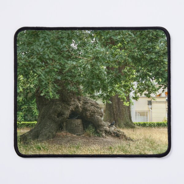 Item preview, The Crow, the Tree, and The Belvedere designed and sold by SarahEL17.